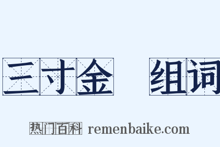 三寸金蓮组词是什么意思的图片